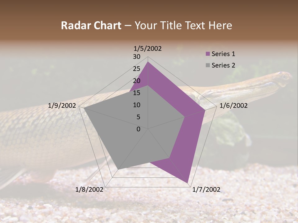 Kyle Kingdom Panorama PowerPoint Template