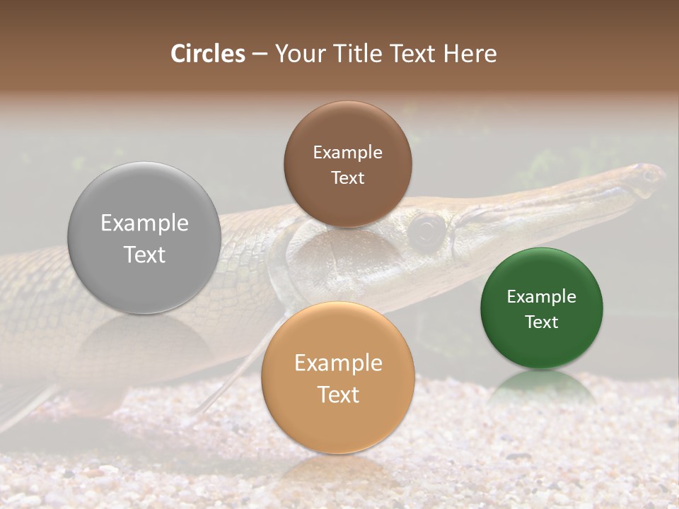 Kyle Kingdom Panorama PowerPoint Template