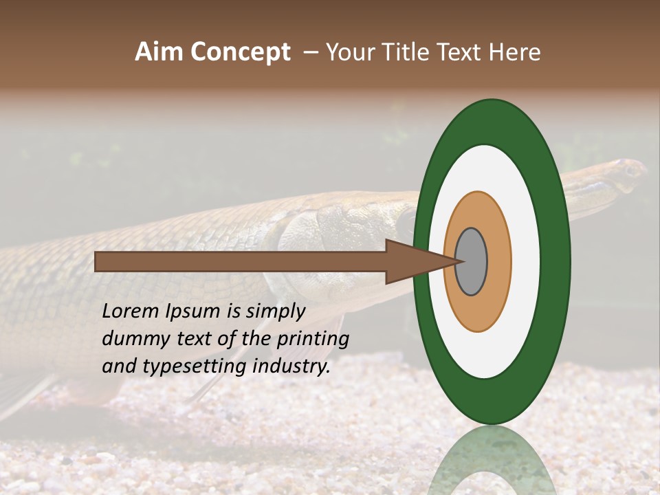 Kyle Kingdom Panorama PowerPoint Template