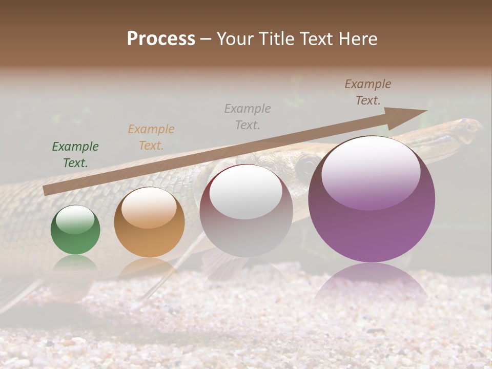 Kyle Kingdom Panorama PowerPoint Template
