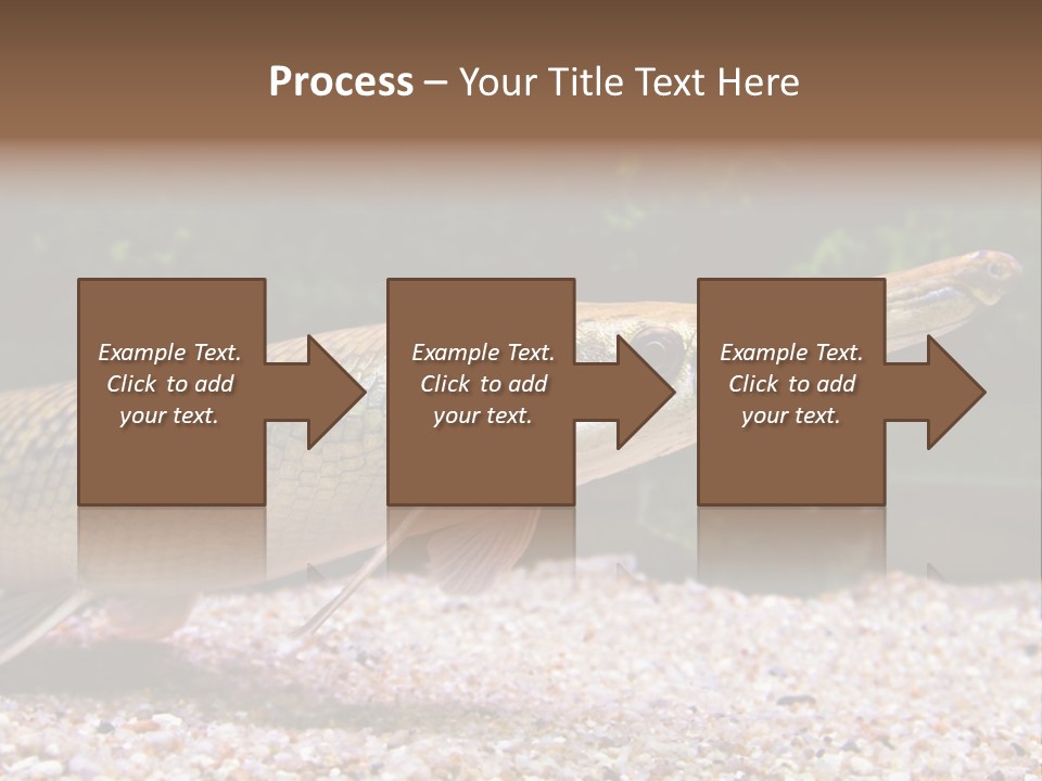 Kyle Kingdom Panorama PowerPoint Template