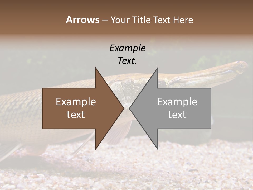 Kyle Kingdom Panorama PowerPoint Template