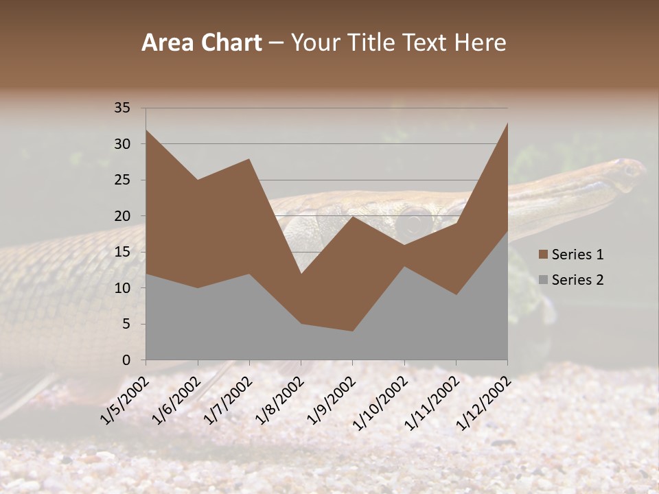 Kyle Kingdom Panorama PowerPoint Template