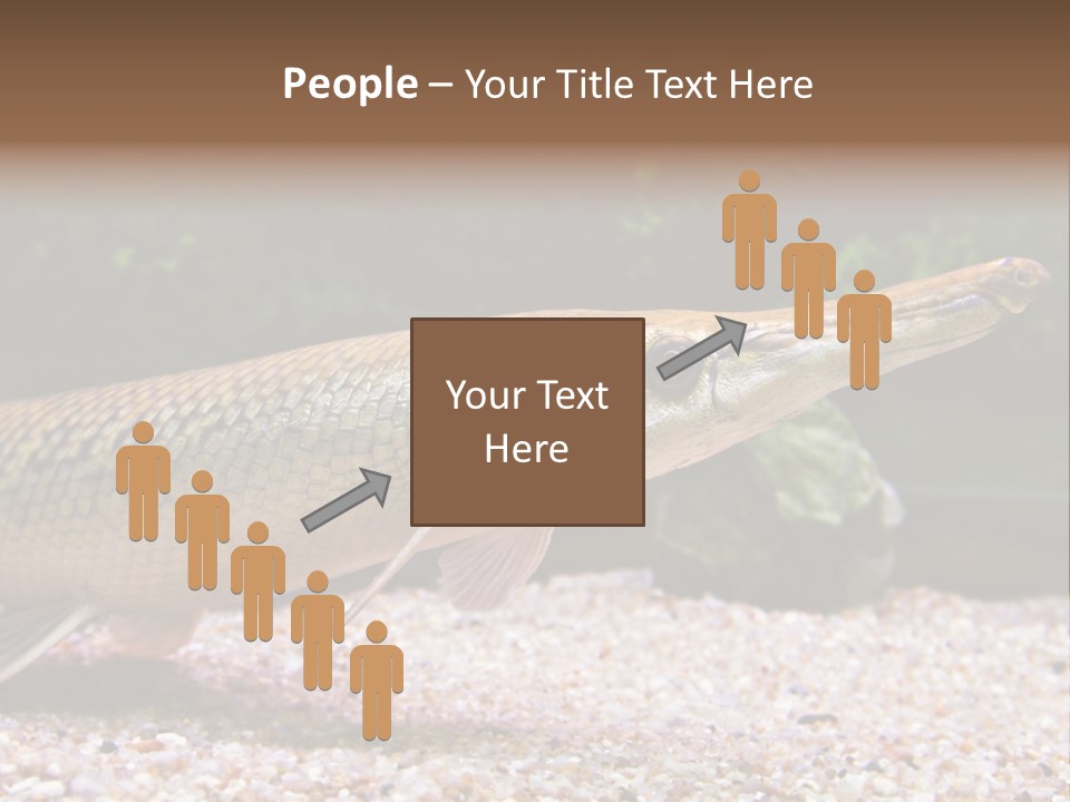 Kyle Kingdom Panorama PowerPoint Template