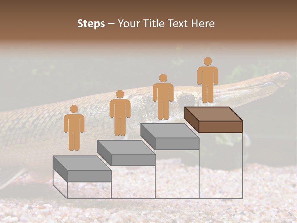 Kyle Kingdom Panorama PowerPoint Template