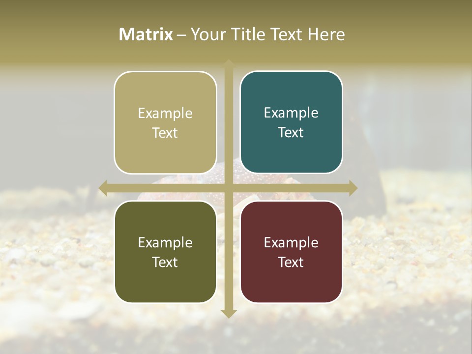 Food Cambarellus Orange PowerPoint Template