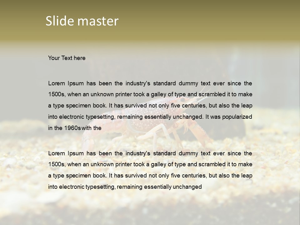 Food Cambarellus Orange PowerPoint Template