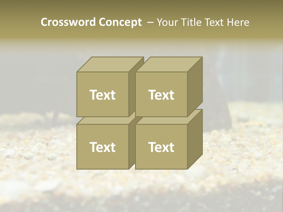 Food Cambarellus Orange PowerPoint Template