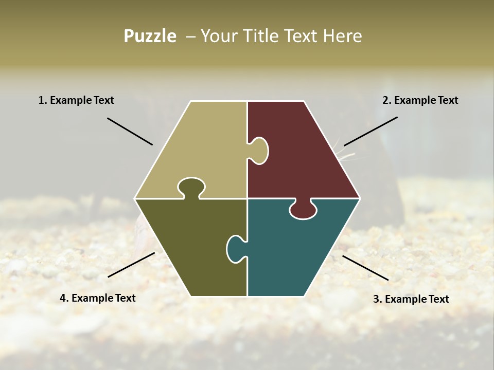 Food Cambarellus Orange PowerPoint Template