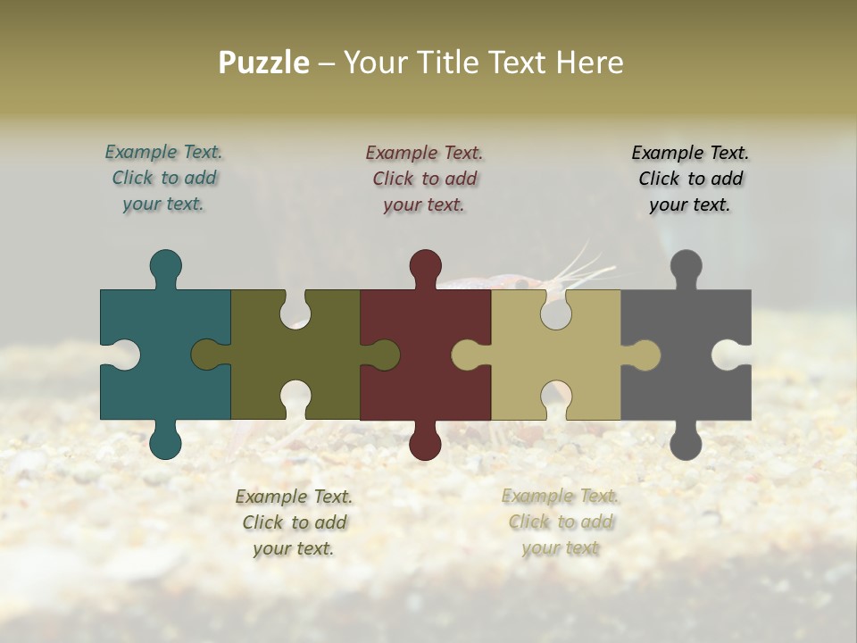 Food Cambarellus Orange PowerPoint Template