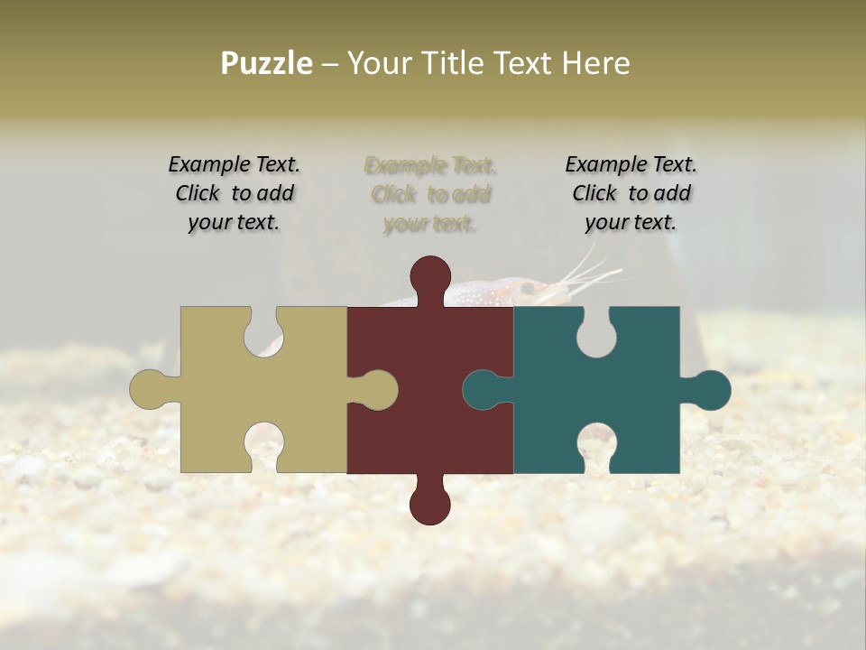 Food Cambarellus Orange PowerPoint Template