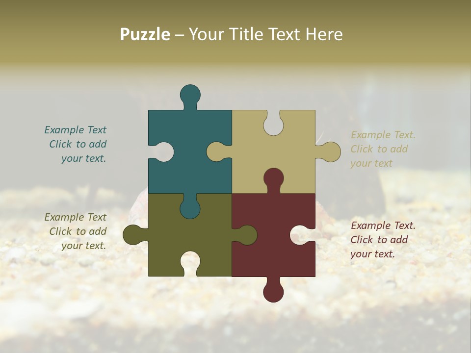 Food Cambarellus Orange PowerPoint Template