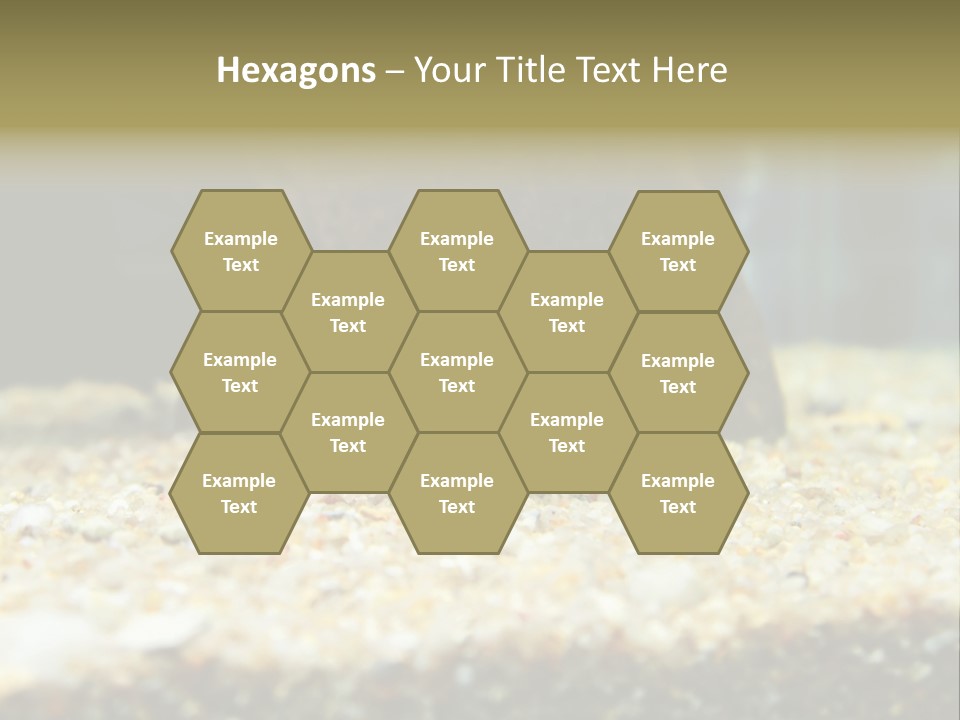 Food Cambarellus Orange PowerPoint Template