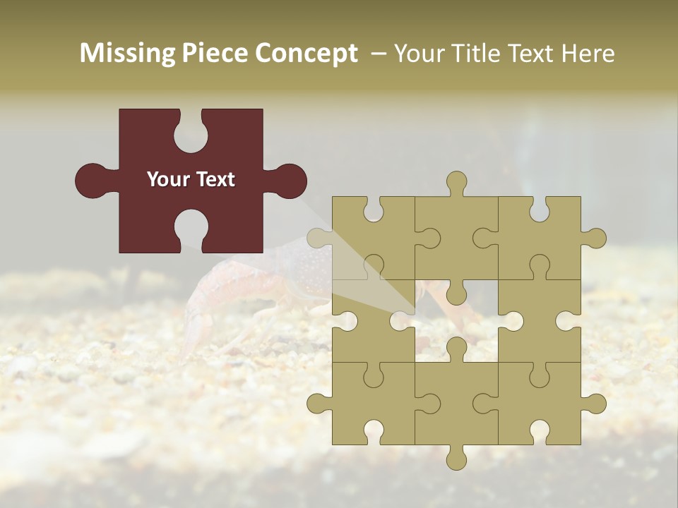 Food Cambarellus Orange PowerPoint Template