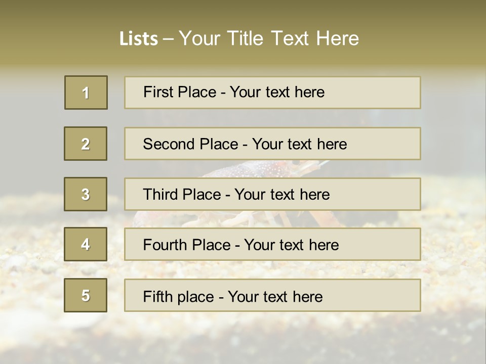 Food Cambarellus Orange PowerPoint Template