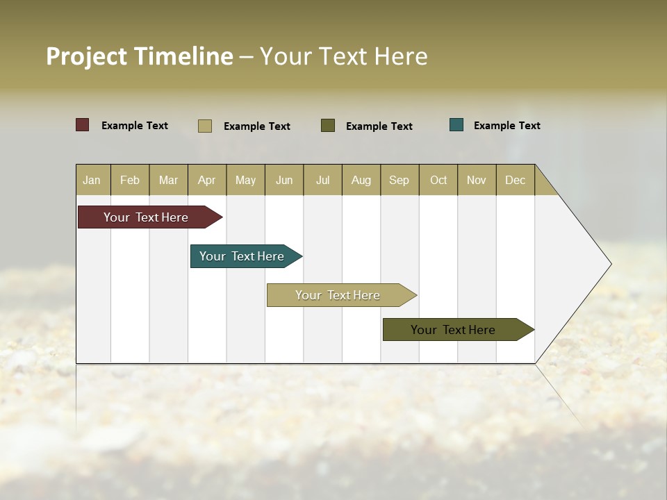 Food Cambarellus Orange PowerPoint Template