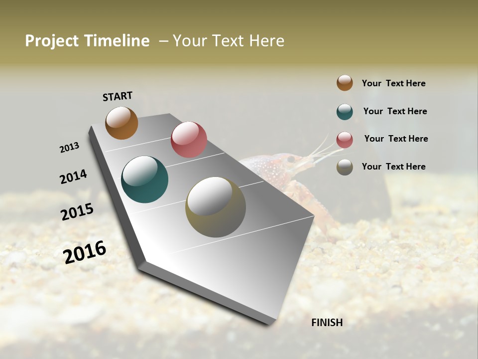 Food Cambarellus Orange PowerPoint Template