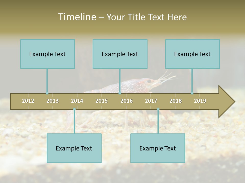 Food Cambarellus Orange PowerPoint Template