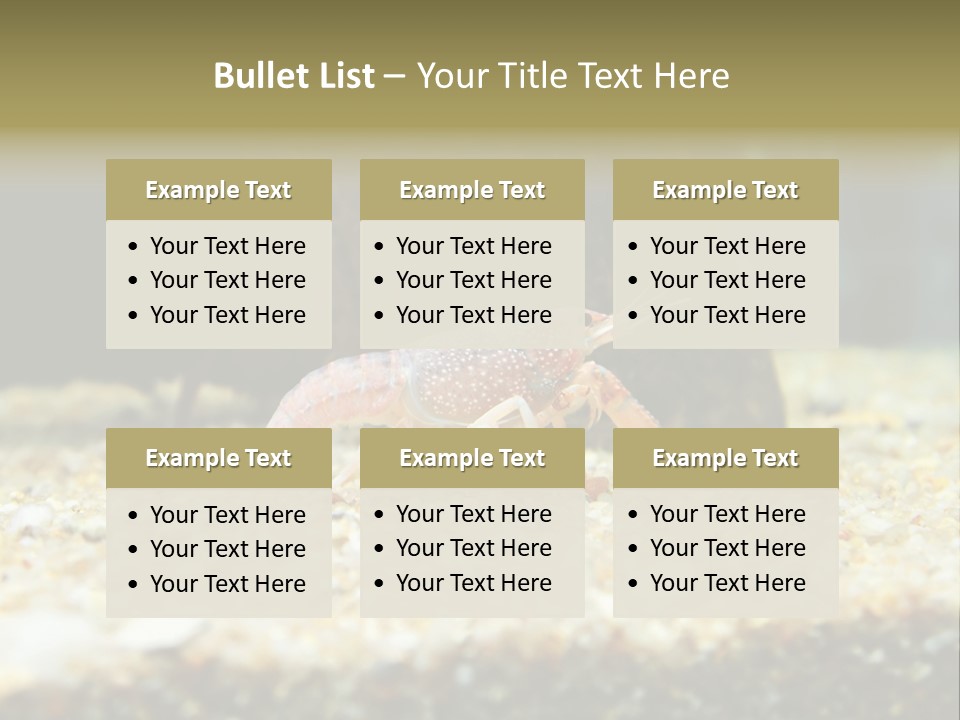 Food Cambarellus Orange PowerPoint Template