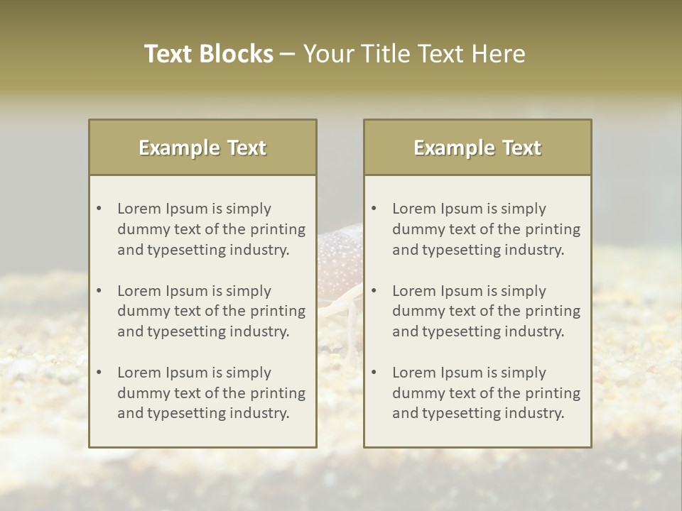 Food Cambarellus Orange PowerPoint Template