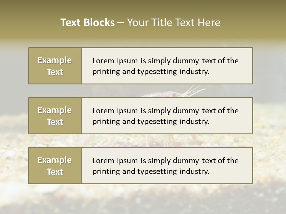 Food Cambarellus Orange PowerPoint Template