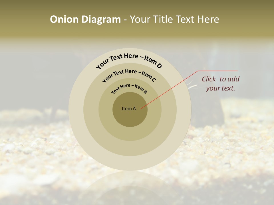 Food Cambarellus Orange PowerPoint Template