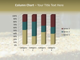 Food Cambarellus Orange PowerPoint Template