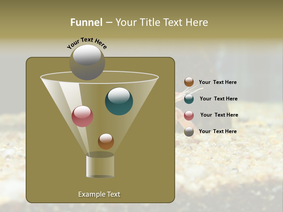 Food Cambarellus Orange PowerPoint Template