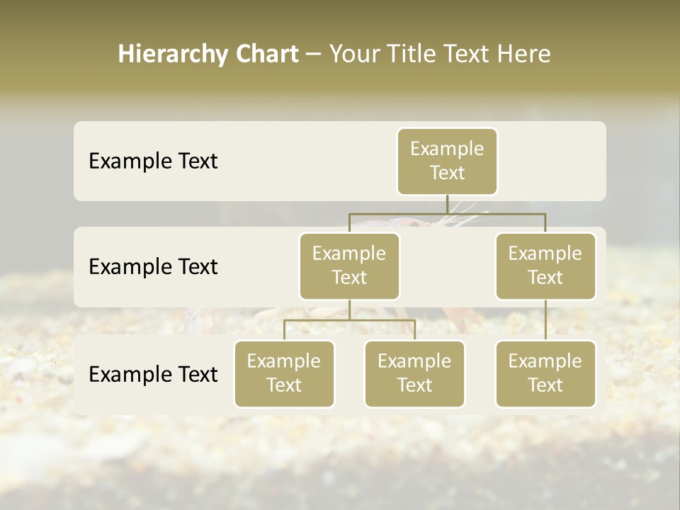 Food Cambarellus Orange PowerPoint Template