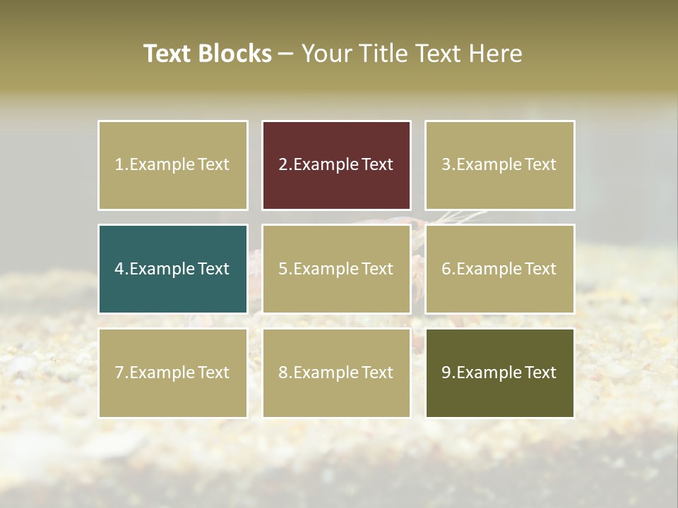 Food Cambarellus Orange PowerPoint Template