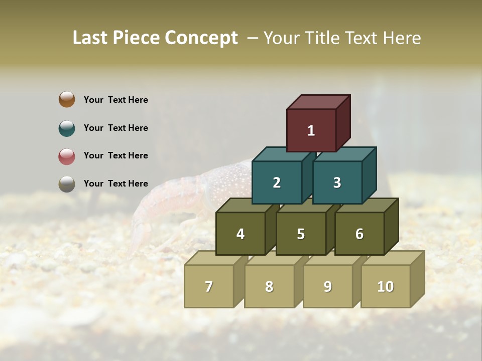 Food Cambarellus Orange PowerPoint Template