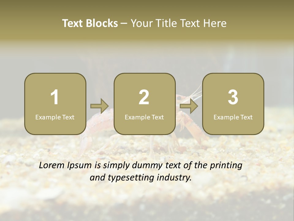 Food Cambarellus Orange PowerPoint Template