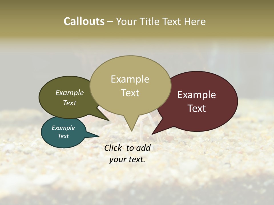 Food Cambarellus Orange PowerPoint Template