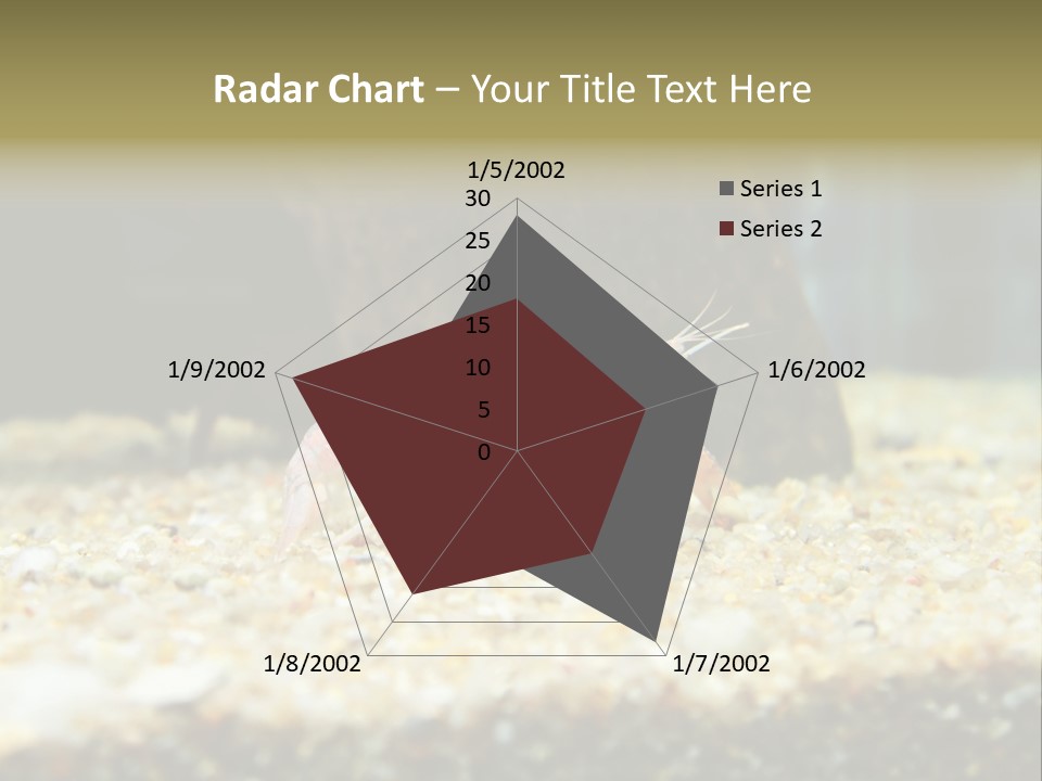 Food Cambarellus Orange PowerPoint Template