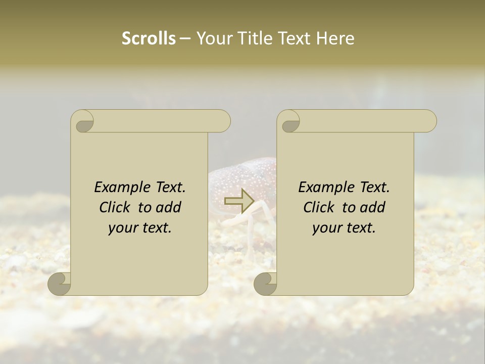 Food Cambarellus Orange PowerPoint Template
