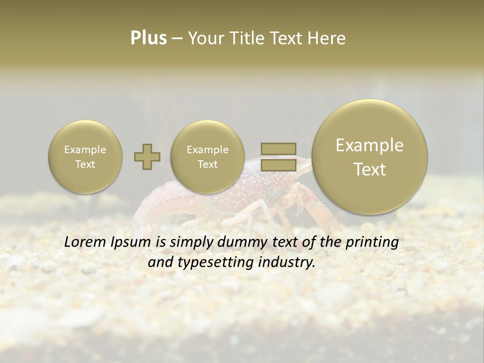 Food Cambarellus Orange PowerPoint Template
