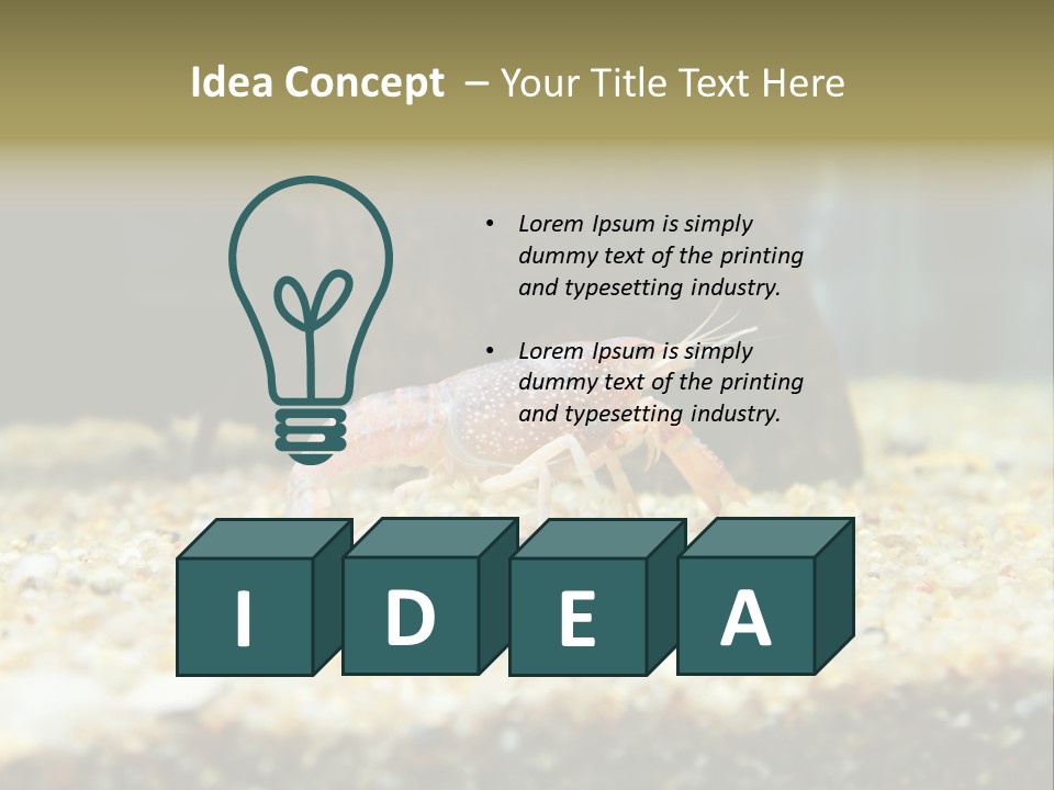 Food Cambarellus Orange PowerPoint Template