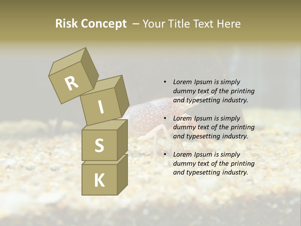 Food Cambarellus Orange PowerPoint Template