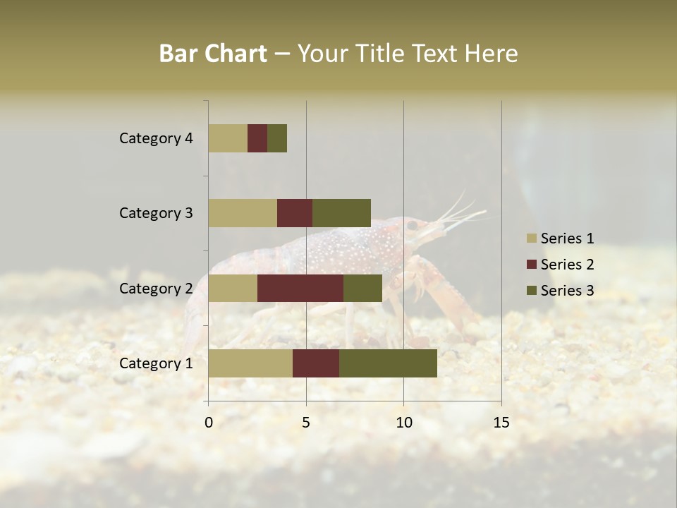 Food Cambarellus Orange PowerPoint Template