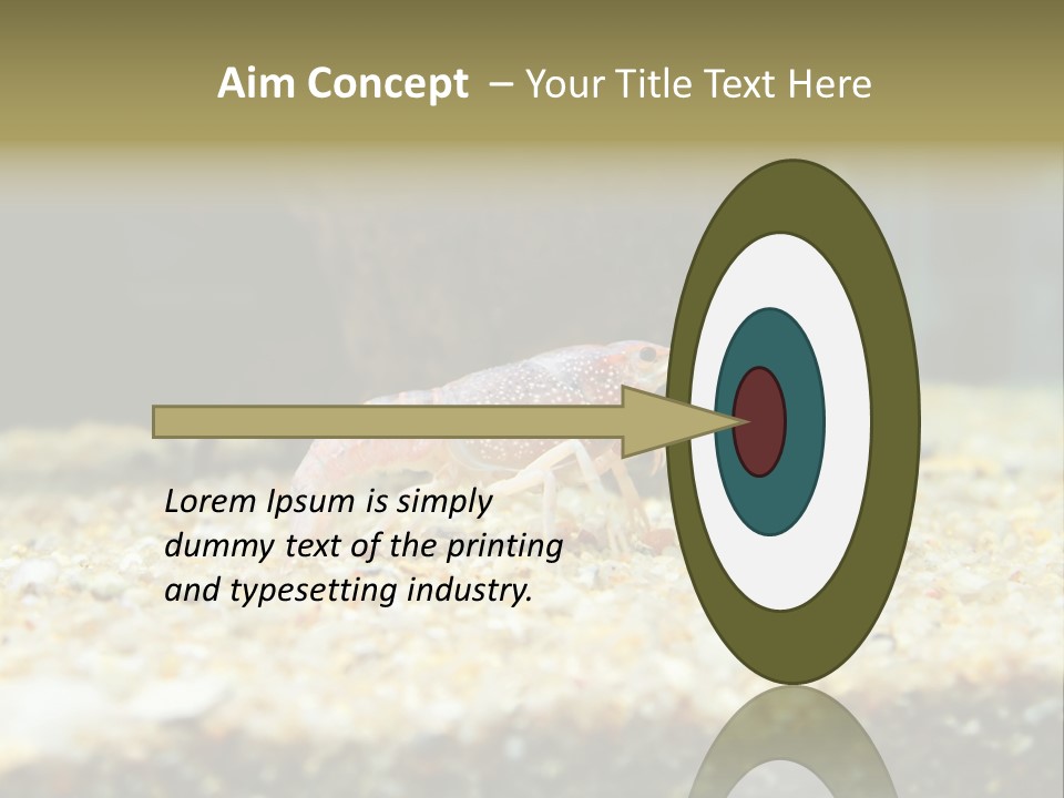 Food Cambarellus Orange PowerPoint Template