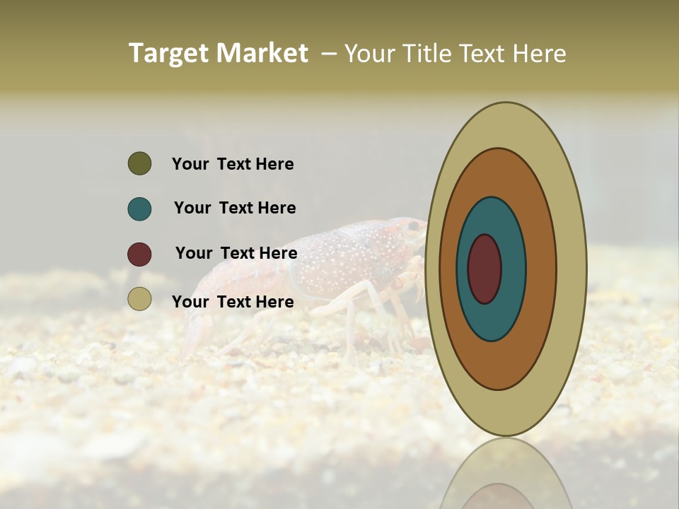 Food Cambarellus Orange PowerPoint Template