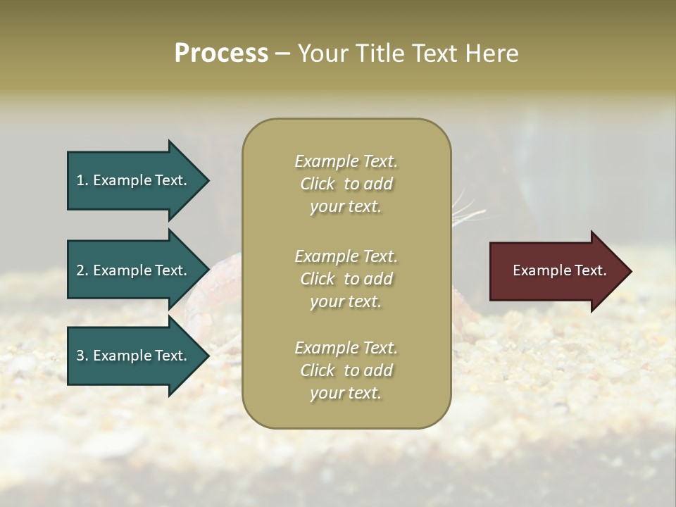 Food Cambarellus Orange PowerPoint Template