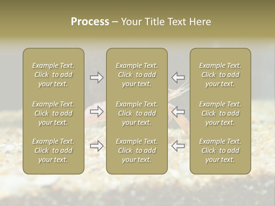 Food Cambarellus Orange PowerPoint Template