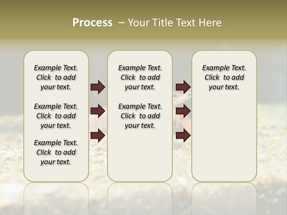 Food Cambarellus Orange PowerPoint Template
