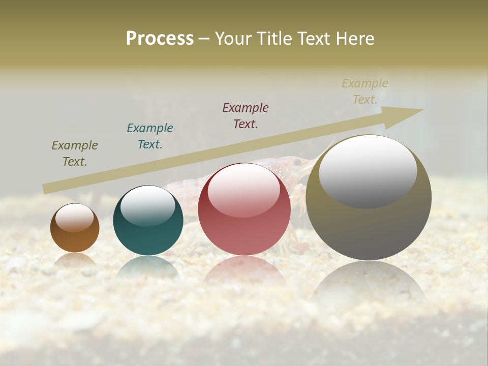 Food Cambarellus Orange PowerPoint Template