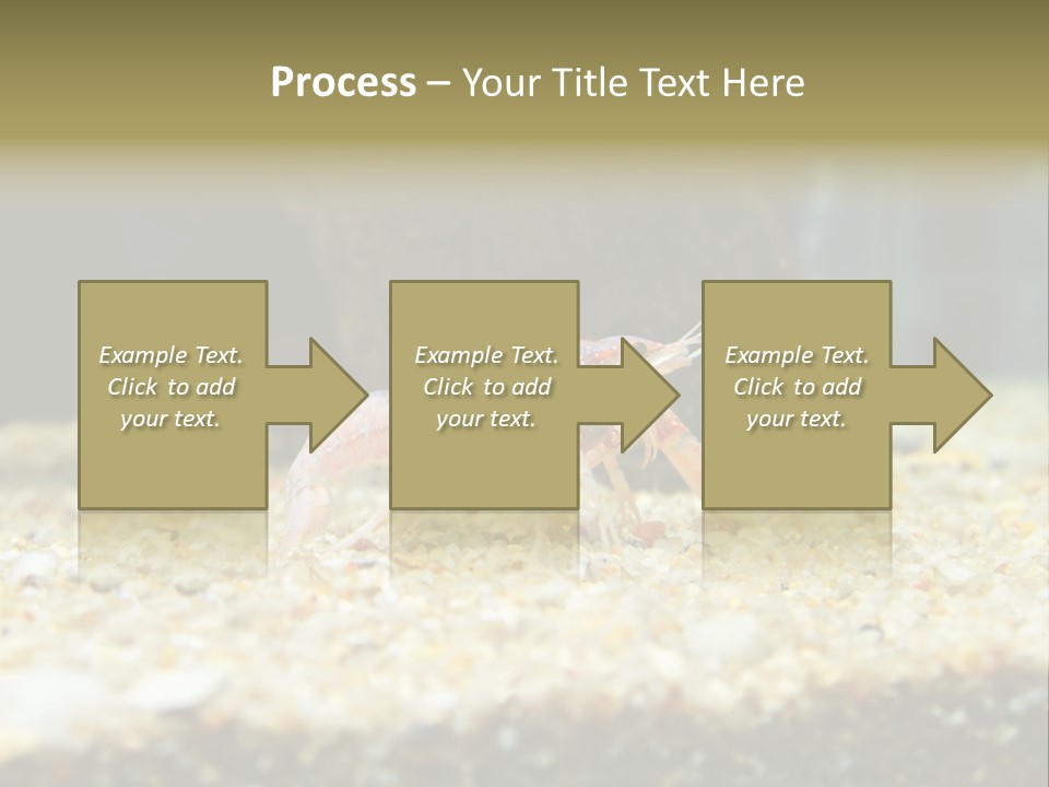 Food Cambarellus Orange PowerPoint Template