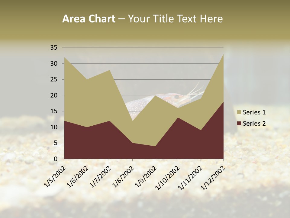 Food Cambarellus Orange PowerPoint Template