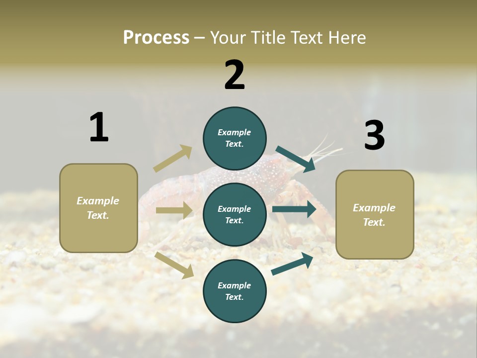 Food Cambarellus Orange PowerPoint Template