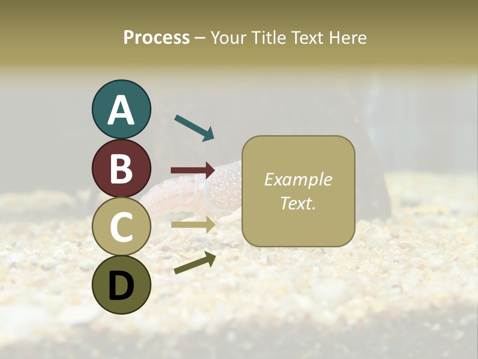 Food Cambarellus Orange PowerPoint Template