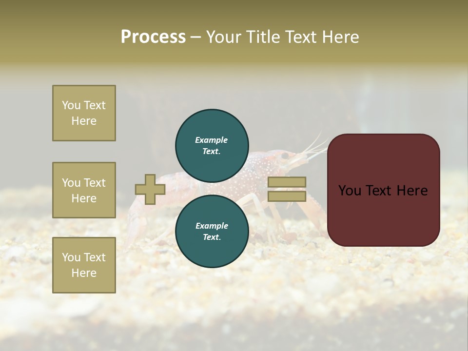 Food Cambarellus Orange PowerPoint Template